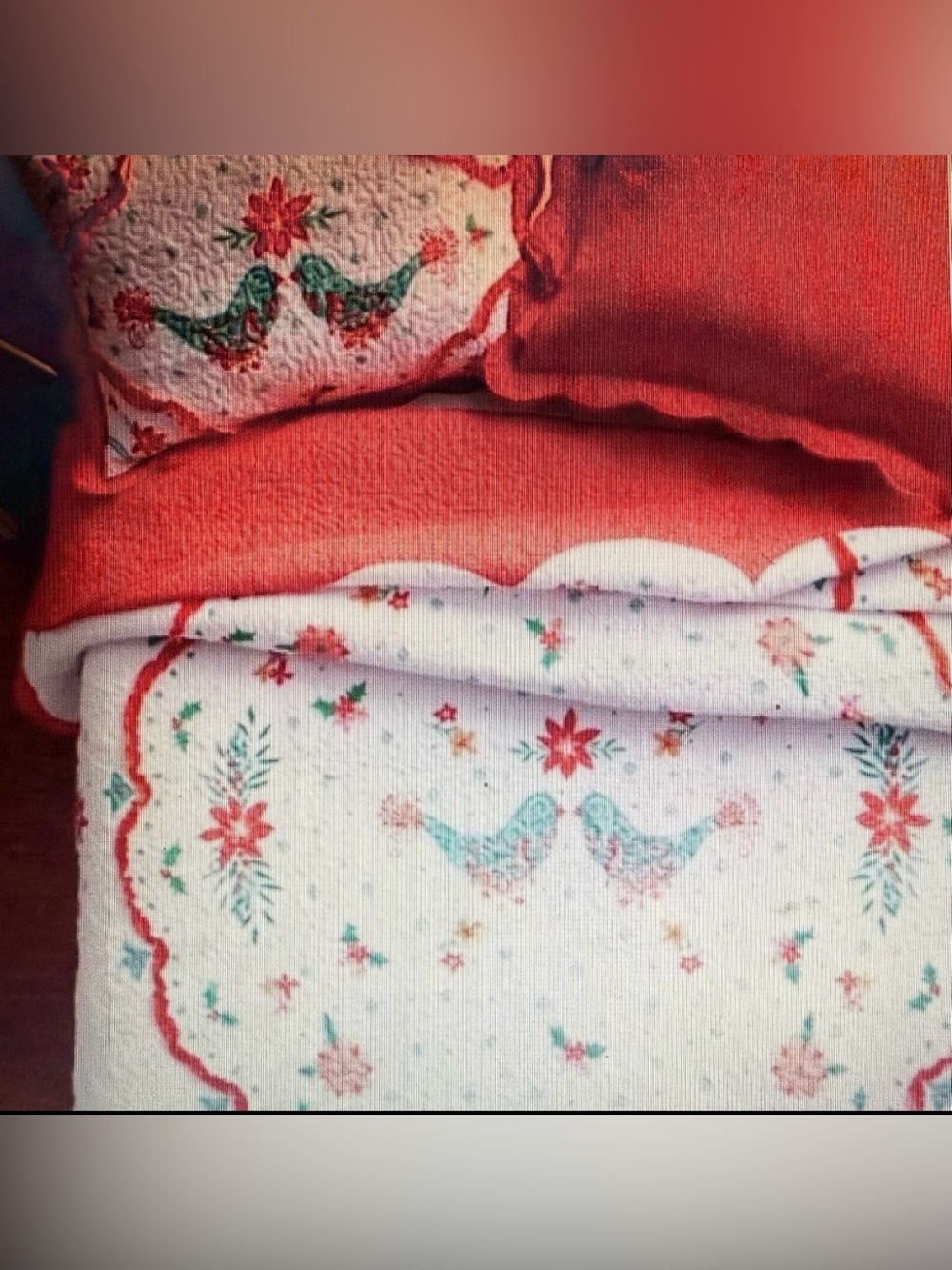 New full/queen The Pioneer Woman Maxie Bird quilt set